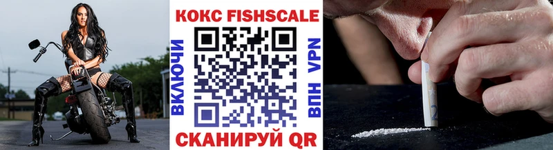 COCAIN FishScale  купить наркотик  Волосово 