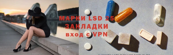 дмт Богородицк