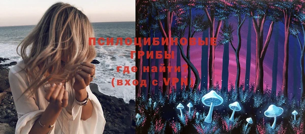 амф Бугульма