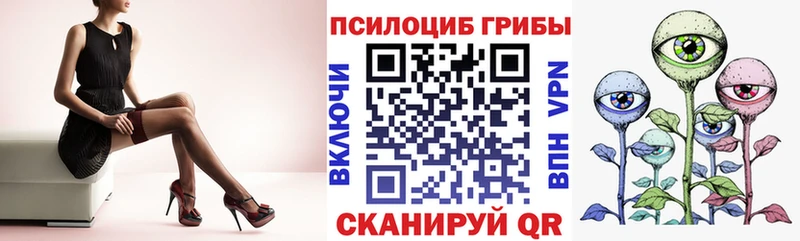 Псилоцибиновые грибы ЛСД  Волосово 